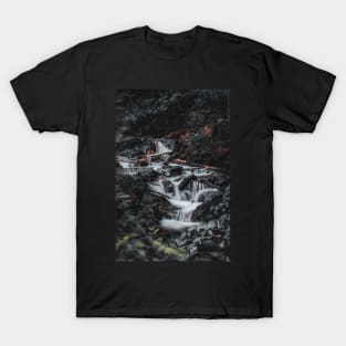 Whispers of the Woods: Secrets of a Cascade V4 T-Shirt